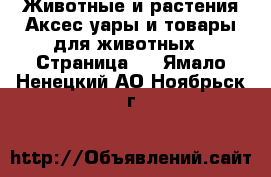 Животные и растения Аксесcуары и товары для животных - Страница 2 . Ямало-Ненецкий АО,Ноябрьск г.